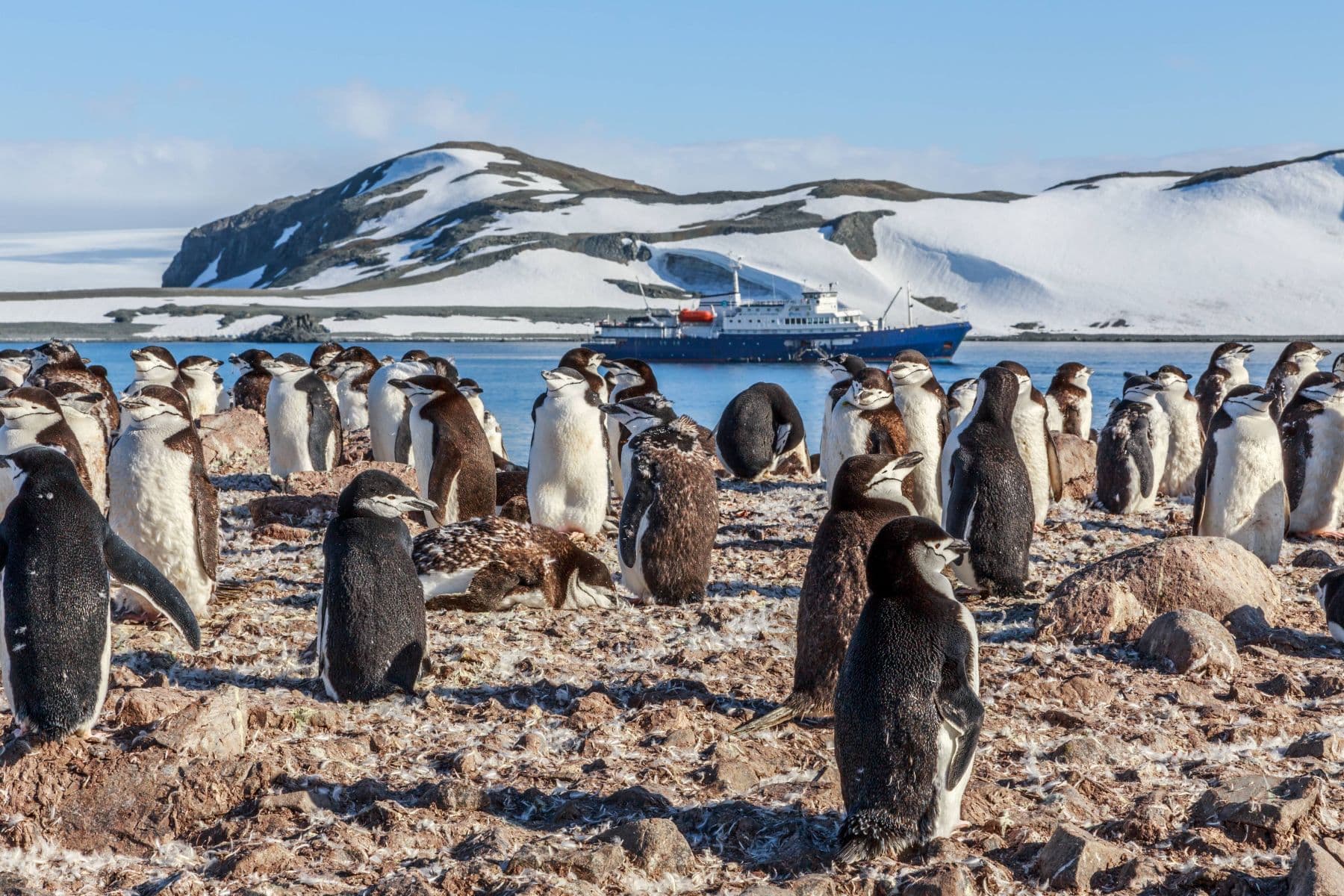 South Shetland Islands